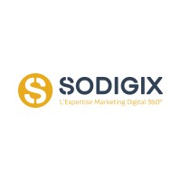 SODIGIX logo - Similar company to Opvalue +