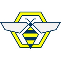 TechBees logo - Similar company to Techbees Software Solutions