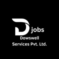 Dowswell Services Private Limited logo - Similar company to Contentbuddy Pvt Ltd