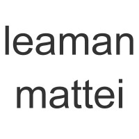 Leaman Mattei Limited logo - Similar company to Connect Ifa Ltd