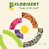 FLORISERT logo - Similar company to Dat Solution Perú