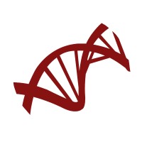 Detective Genealogy logo - Similar company to Intermountain Forensics