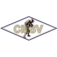 Compañía Minera San Valentín logo - Similar company to Comarsa (Compañía Minera Aurífera Santa Rosa)