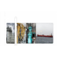 Riskology Pte Ltd logo - Similar company to Petroleum Energy Gas Corporation