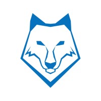 Blue Wolf Digital logo - Similar company to Blue Wolf