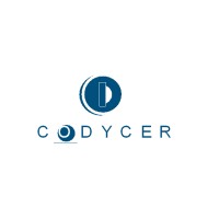 CODYCER SL logo - Similar company to Ecolider