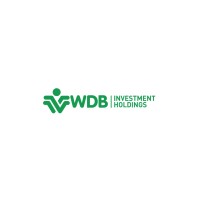 WDB Investment Holdings logo - Similar company to Machabeng Global Solutions