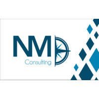 NM Consulting logo - Similar company to Mn Consulting