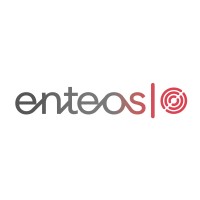 enteos logo - Similar company to Iems Americas