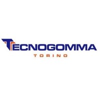 Tecnogomma Srl logo - Similar company to Rc&P Raffaele Cercola & Partners