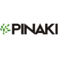 Pinaki logo - Similar company to Nds It Solution Llp