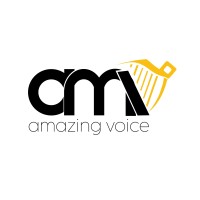 Amazing Voice Togo logo - Similar company to Web Design School