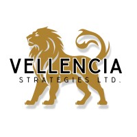 Vellencia Strategies Ltd. logo - Similar company to Arctech Accelerate