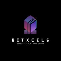 Bitxcels logo - Similar company to Blockhertz