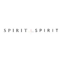 Spirit+Spirit (Spirit and Spirit) logo - Similar company to Npc Media