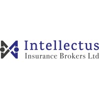 Intellectus Insurance Brokers Ltd logo - Similar company to Yozo