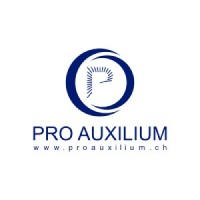 Pro Auxilium logo - Similar company to Dementality