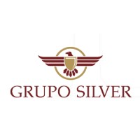 Grupo Silver Segurança logo - Similar company to Max Digital Telecomunicações