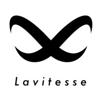 Lavitesse logo - Similar company to G.A. Interactive Entertainment