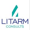 Litarm Consults logo - Similar company to Akilli Creatives Limited