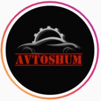 Автошум