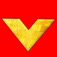 LUVAPY logo - Similar company to Opay Token