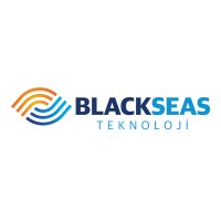 Blackseas Teknoloji logo - Similar company to Venus Dmc