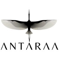 AntaraaStudio logo - Similar company to Antaaras