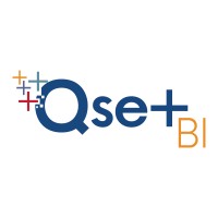 Qset BI Solutions logo - Similar company to Biwise