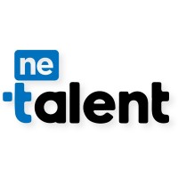 NETalent logo - Similar company to Digitalqp