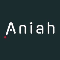 Aniah logo - Similar company to Iroc Technologies