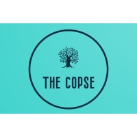 Copse on the Broads logo - Similar company to Nexus Ally