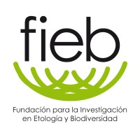 Fieb Foundation logo - Similar company to Ms2S Innovación