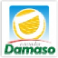 Vereador Damaso