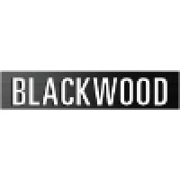 Blackwood Investimentos logo - Similar company to Metrix