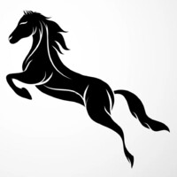 Carrozza Growth logo - Similar company to Forge Design