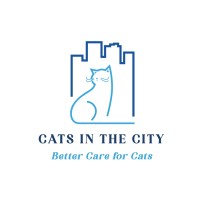 Cats In The City