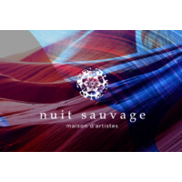 Nuit Sauvage logo - Similar company to Colored With Black