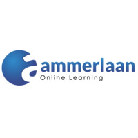 Ammerlaan Online Learning