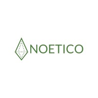 Noetico logo - Similar company to Ivy