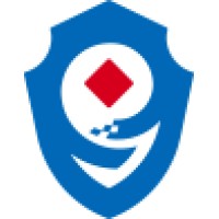 MEIYA PICO logo - Similar company to Pinnacle Pathway