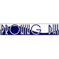 PRONING DHI d.o.o. logo - Similar company to Systemgroup (Apfel)