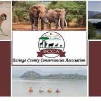 Baringo County Conservancies Association logo - Similar company to Baringo
