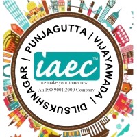 IAEC Consultants Punjagutta logo - Similar company to Fly Masters