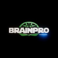 Brainpro Tecnologia logo - Similar company to Dataverso
