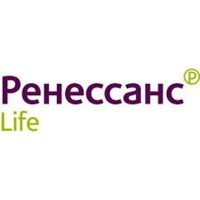Ренессанс Жизнь, Страховая компания logo - Similar company to Honest Dev Team