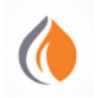 De Lane Industrial Holdings (Pty) Ltd logo - Similar company to Elgaru (Pty) Ltd
