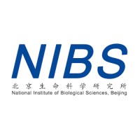 National Institute of Biological Sciences (NIBS), Beijing. logo - Similar company to Macramé Project