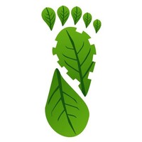 Floresta Jr. - Consultoria Florestal logo - Similar company to Pro Frig