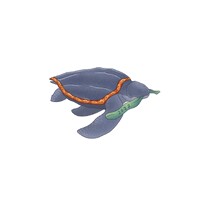 Sixtonation Feat Rhapsodie With Scraft 2022 logo - Similar company to Pers 61